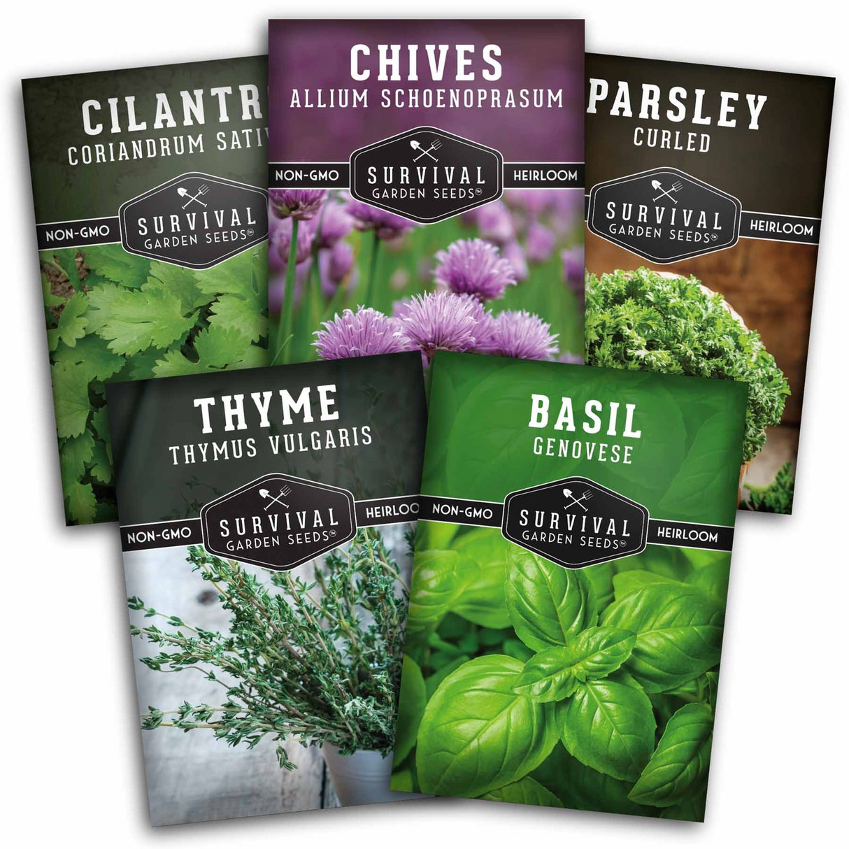 Five seed packet packages from Survival Garden Seeds are arranged in a fan layout. The packets include Cilantro, Chives, Parsley, Thyme, and Basil, each with a different colored header and a photo of the fresh herb.