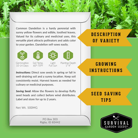 Seed packet for Common Dandelion with growing instructions and survival garden seeds branding on a green background.
