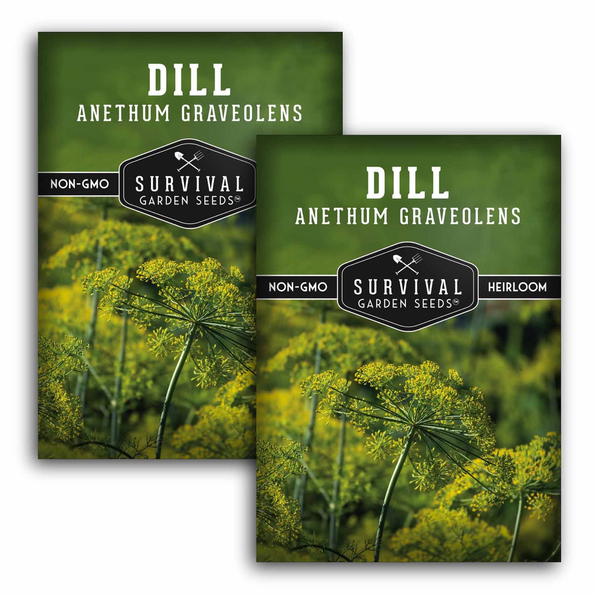 Two seed packets of Survival Garden Seeds Dill Anethum Graveolens shown on a white background, one labeled Non-GMO and one labeled Heirloom.