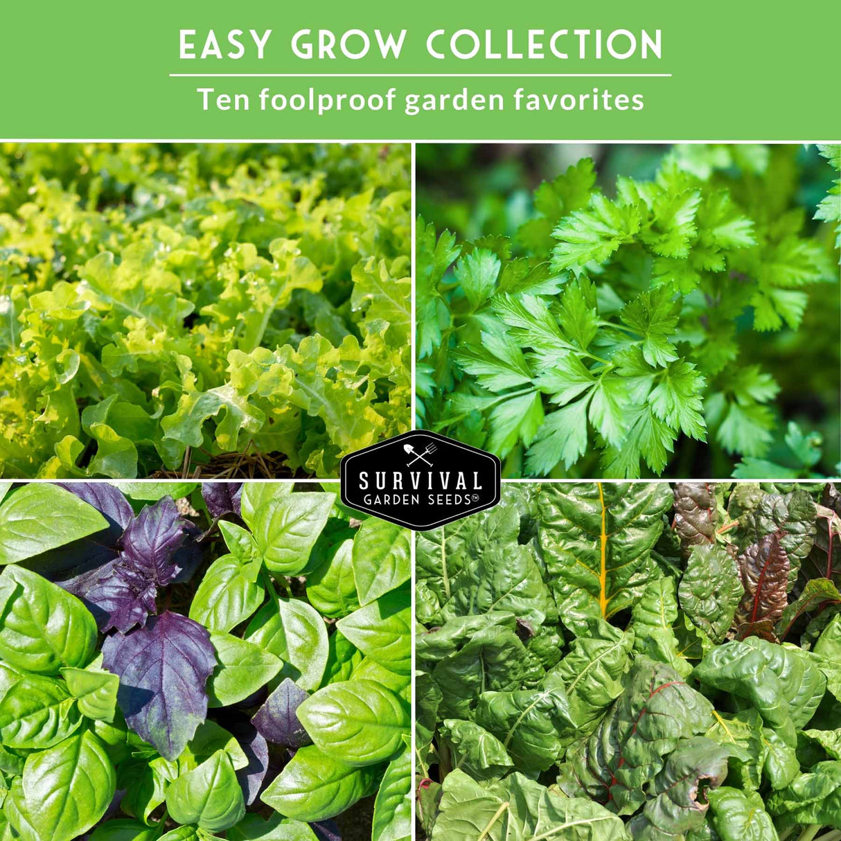 Collage of various green leafy vegetables with 'Survival Garden Seeds' logo on a green background.