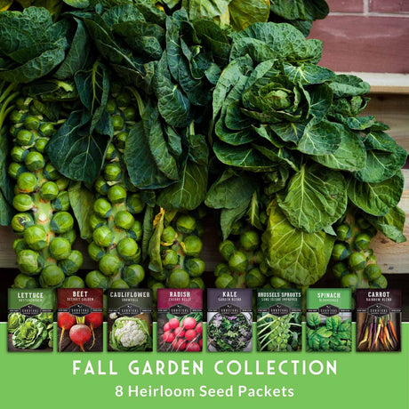Collection of fresh green vegetables with seed packets labeled for a fall garden collection.