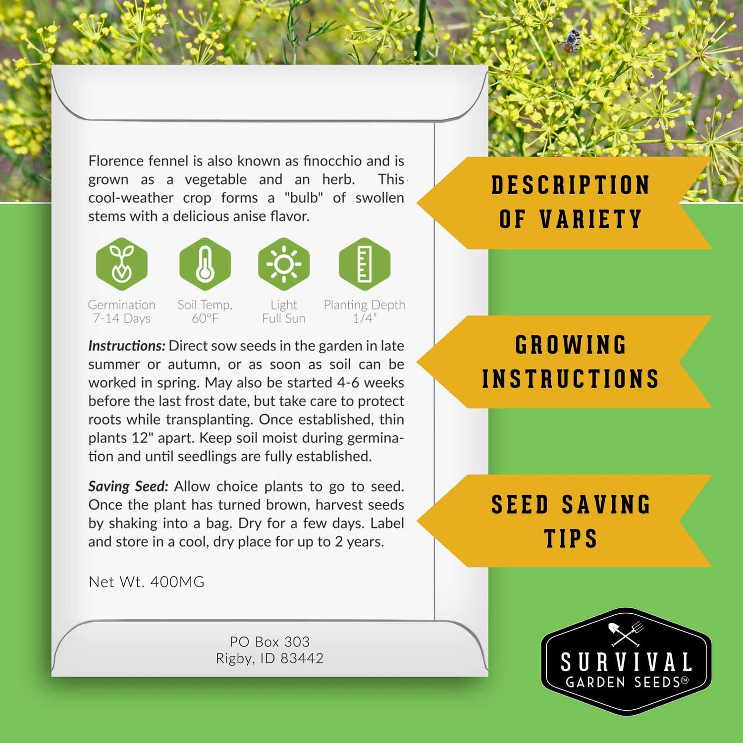 Survival Garden Seeds packaging with Florence fennel information on a green background