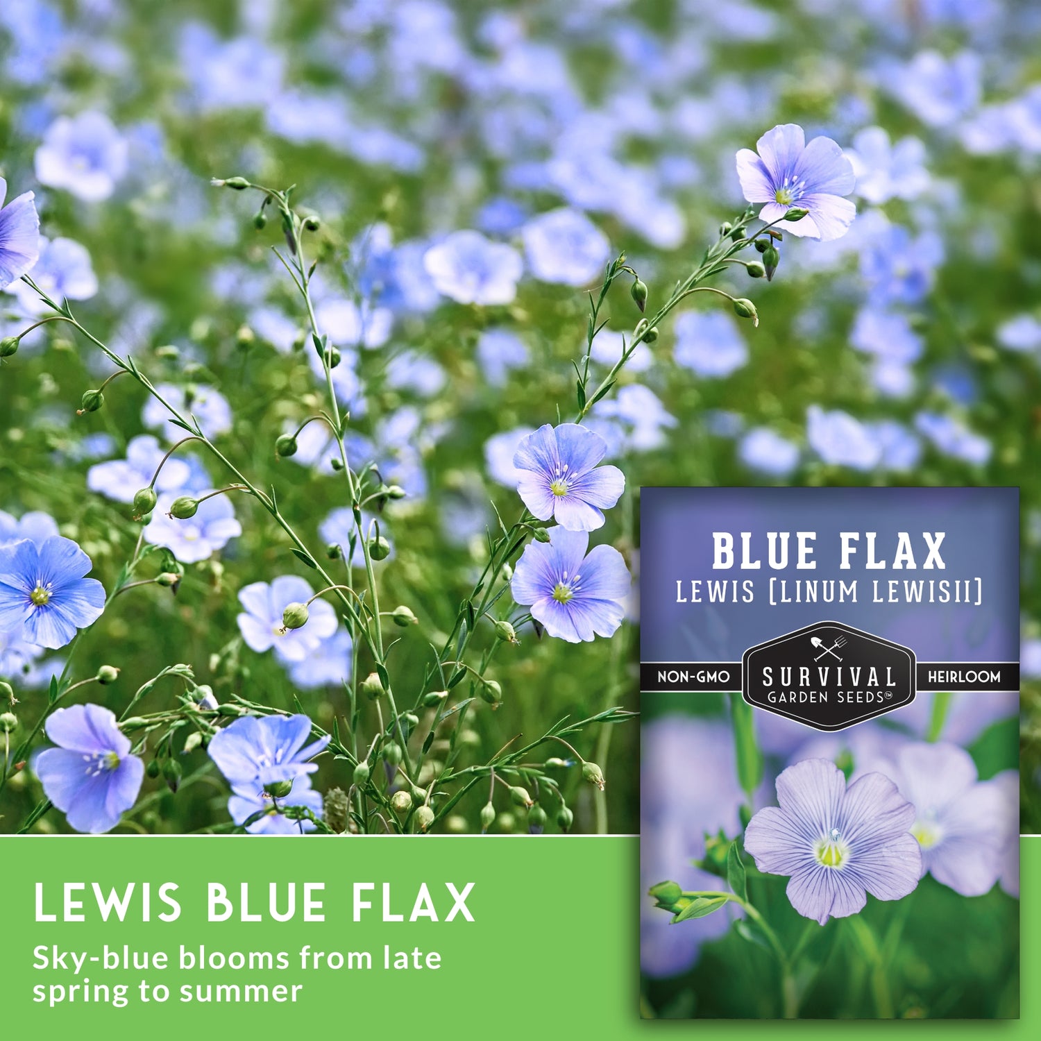 Blue flax flowers with a seed packet labeled 'Blue Flax' on a blurred natural background.