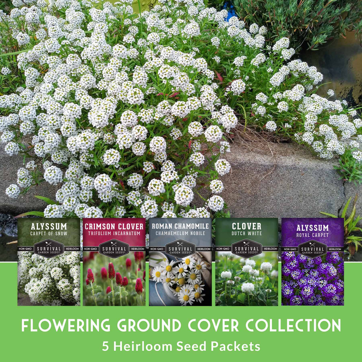 Flowering Ground Cover Collection - 5 packets of heirloom seeds