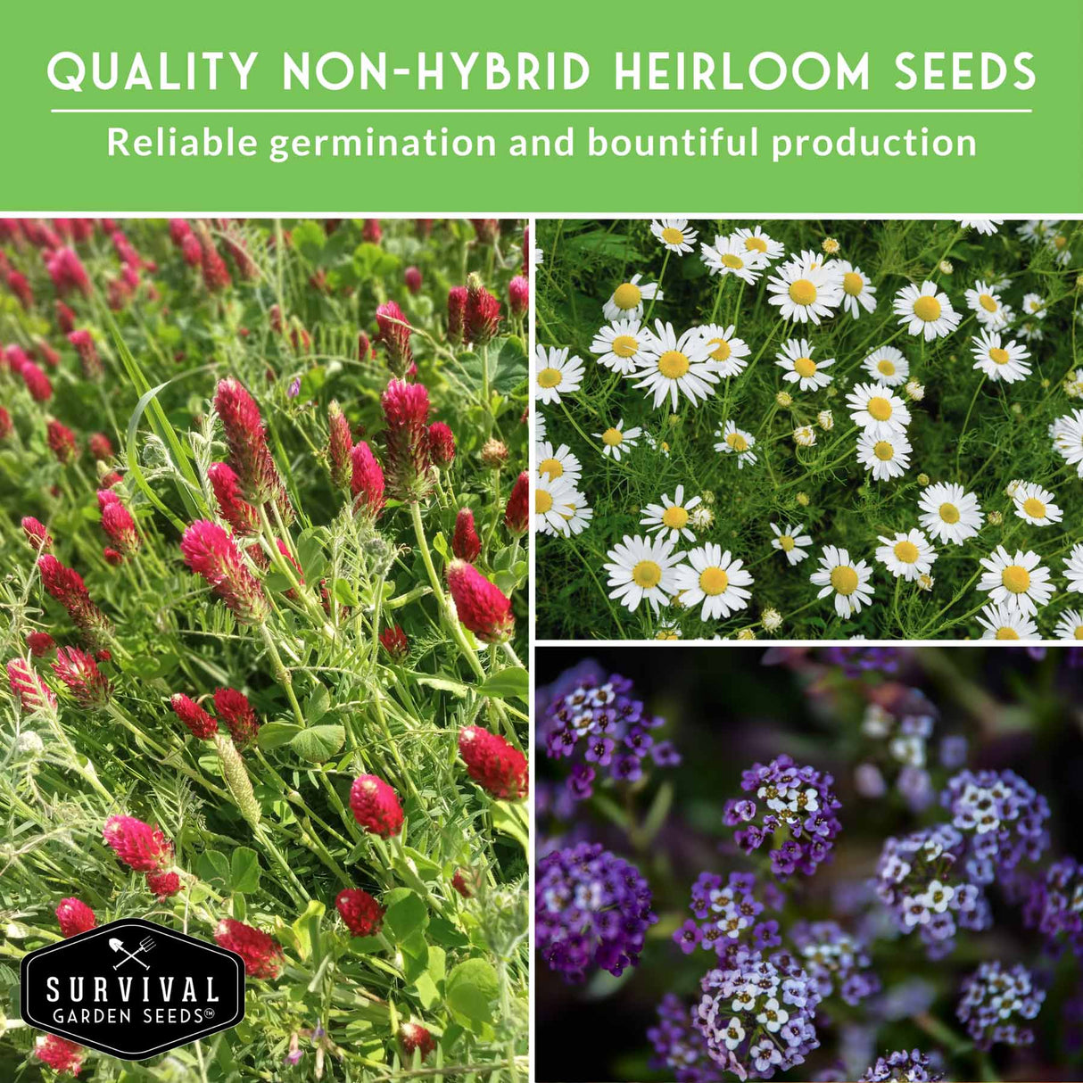 Collage of various flowers with text about non-hybrid heirloom seeds and Survival Garden Seeds logo.