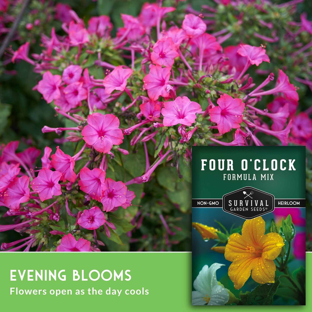 Four O'Clock Formula Mix seed packet with pink flowers in the background