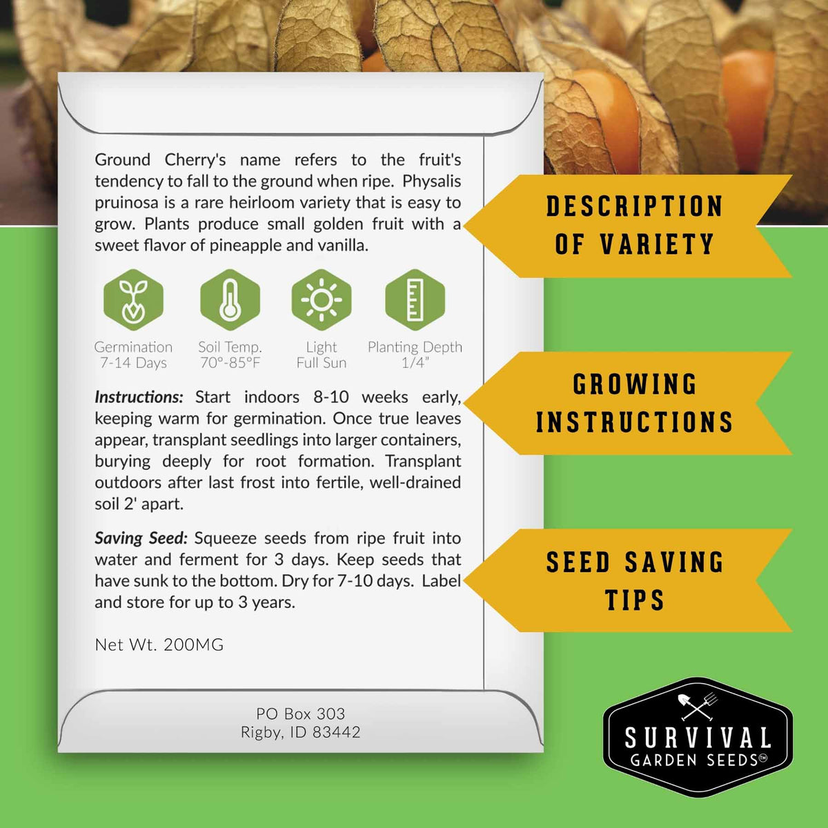 Informational back of seed packet with growing and seed saving information