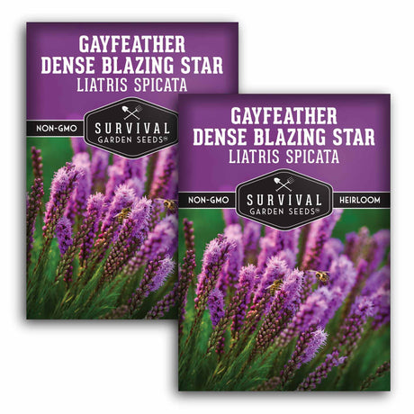2 Packets of Gayfeather Dense Blazing Star seeds