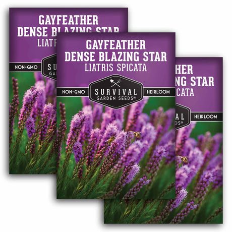 3 Packets of Gayfeather Dense Blazing Star seeds