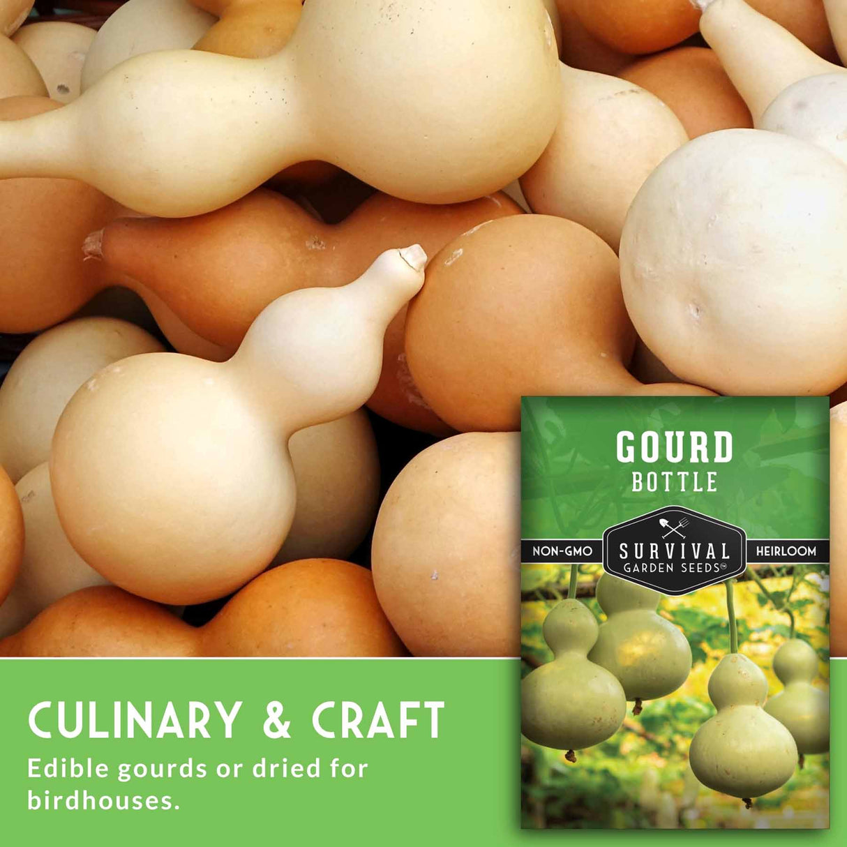 Gourds with a seed packet labeled 'Gourd Bottle' on a green background
