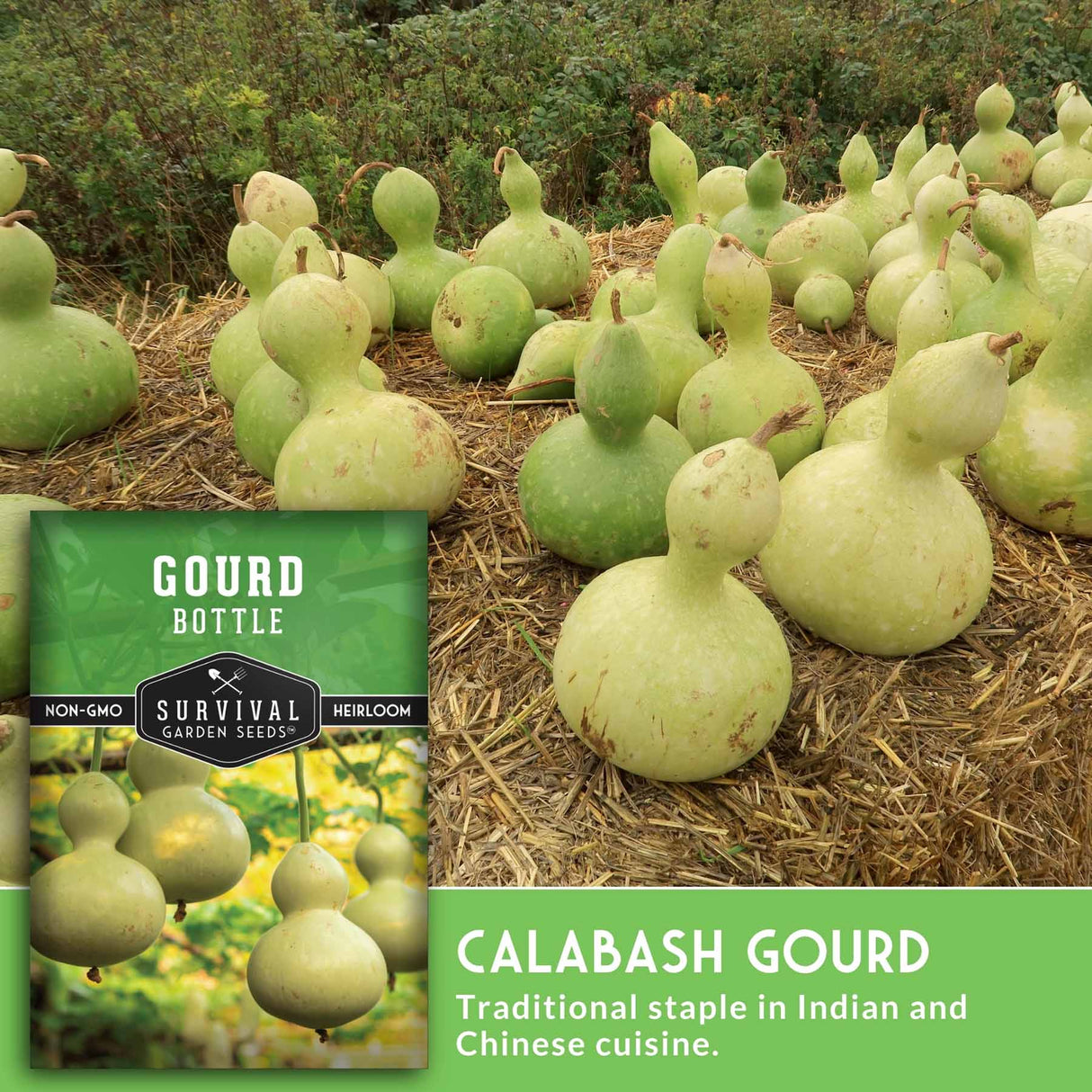 Calabash gourds on straw with a seed packet labeled 'Gourd Bottle Survival Garden Seeds' in the corner.