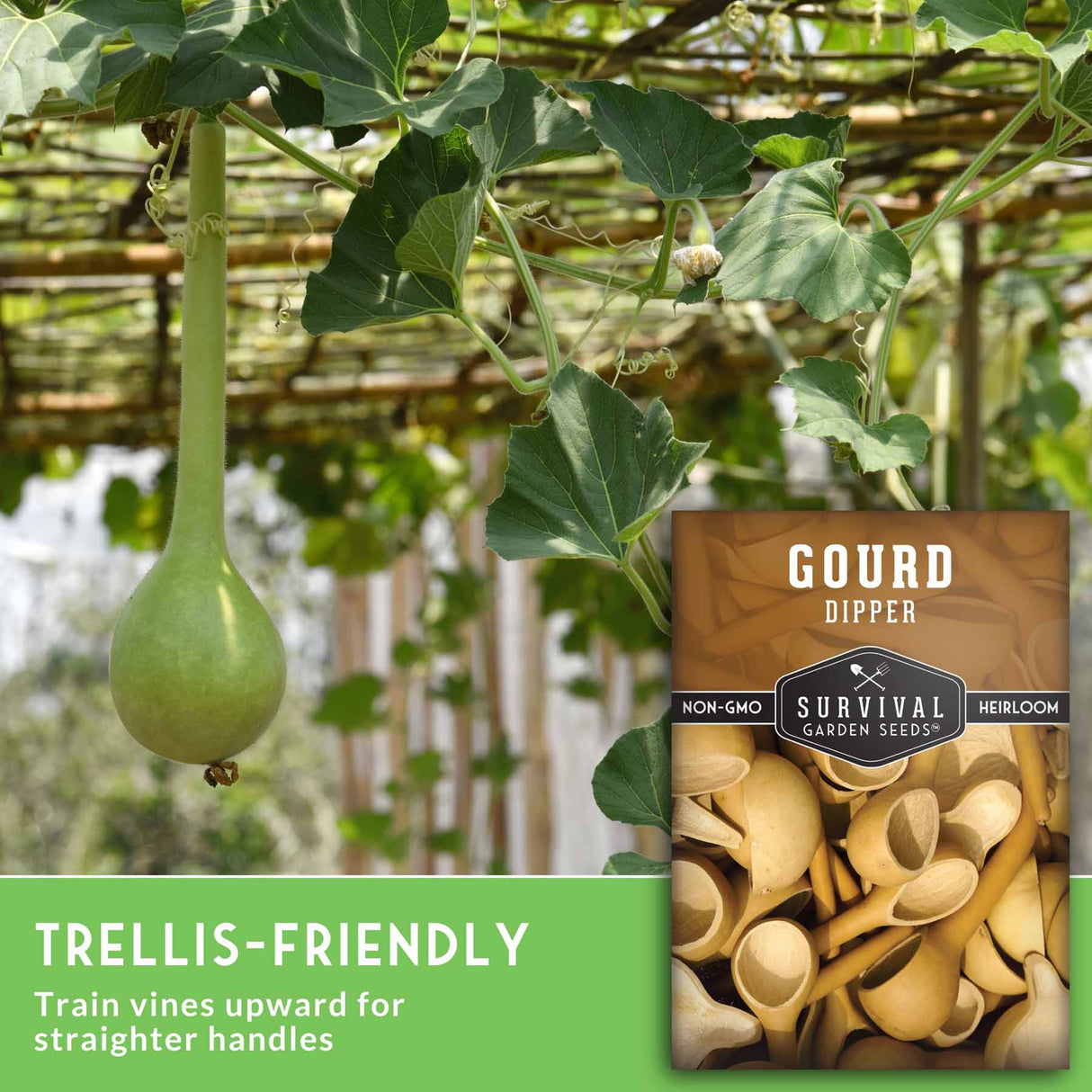 Gourd plant with a seed packet labeled 'Survival Garden Seeds' on a trellis.