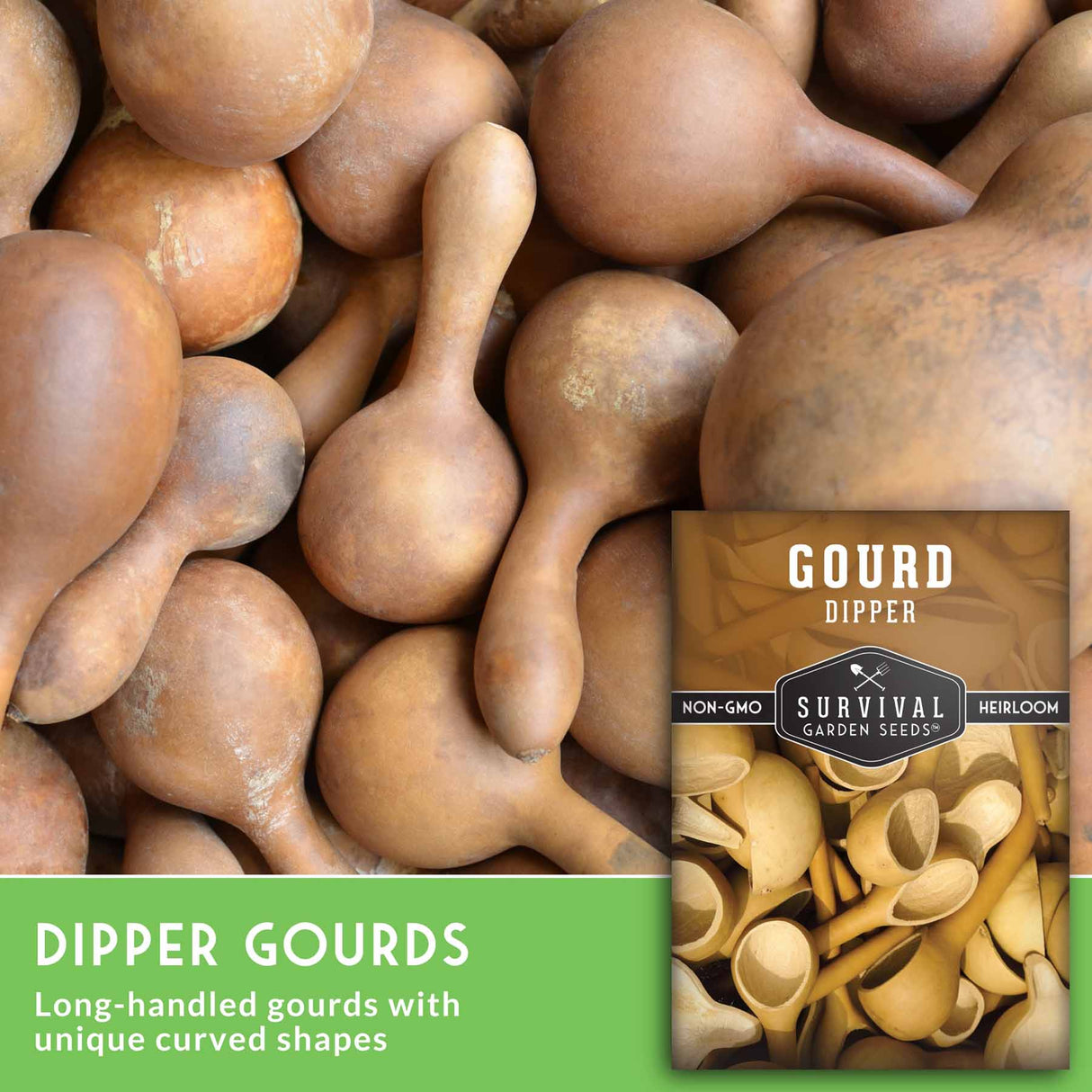 Dipper gourds with a package labeled 'Survival Garden Seeds' on a green background