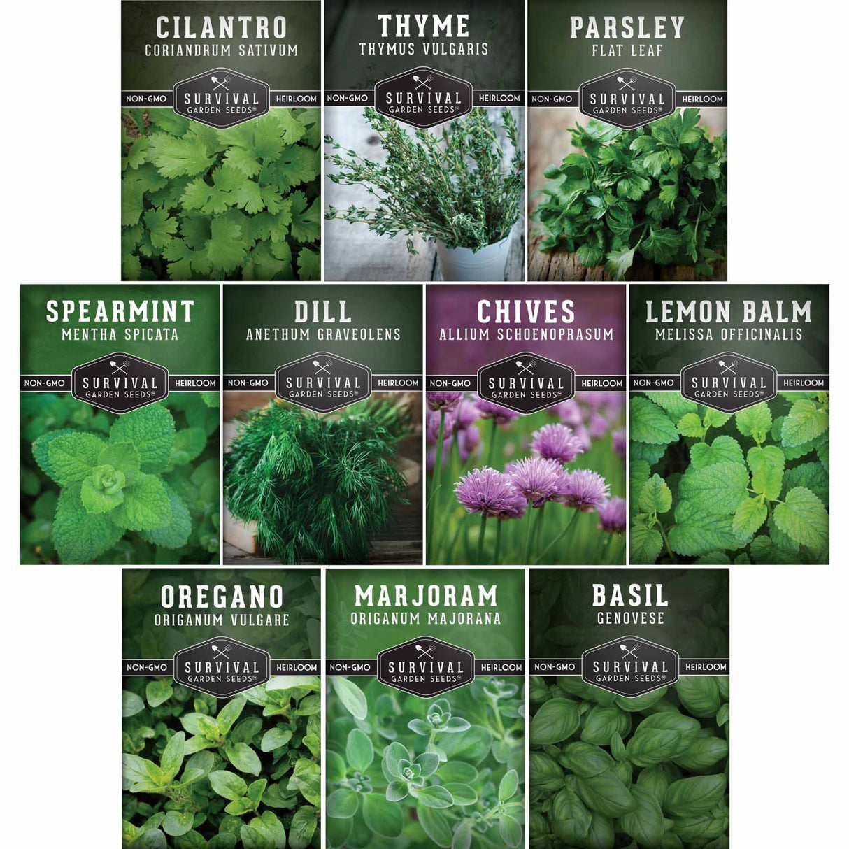 Collection ofSurvival Seeds packaging for various herbs on a white background