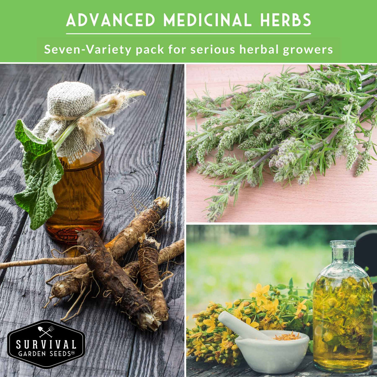 Promotional image for 'Advanced Medicinal Herbs' set by Survival Garden Seeds, featuring herbs and a bottle on a wooden surface.