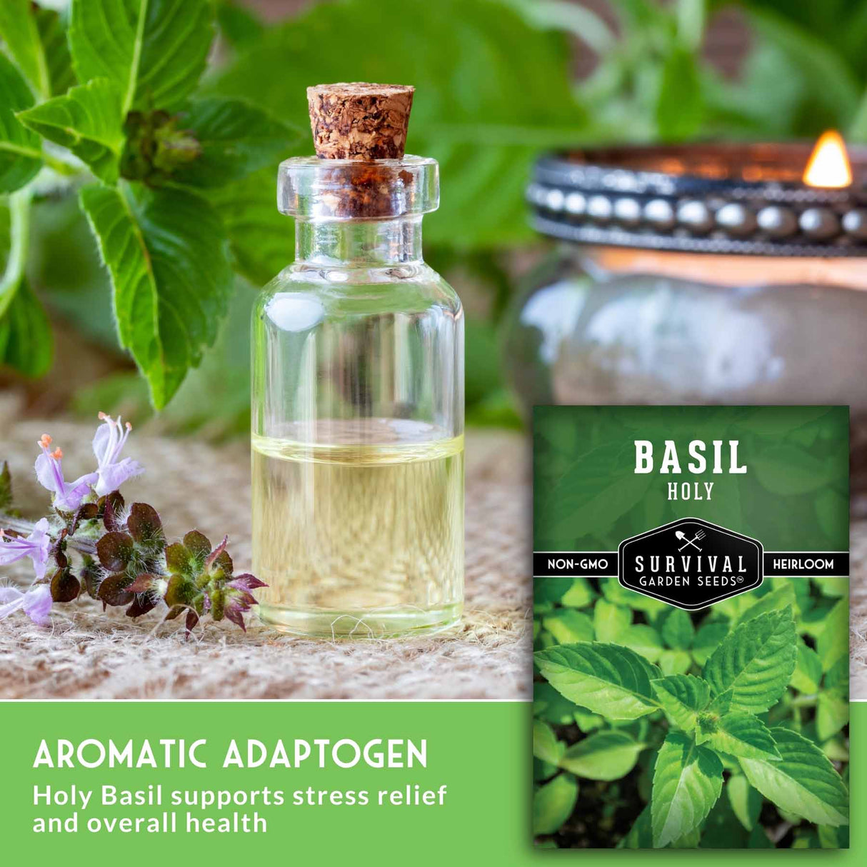 Bottle of basil oil, basil plant, and basil seed packet on a wooden surface with greenery in the background.