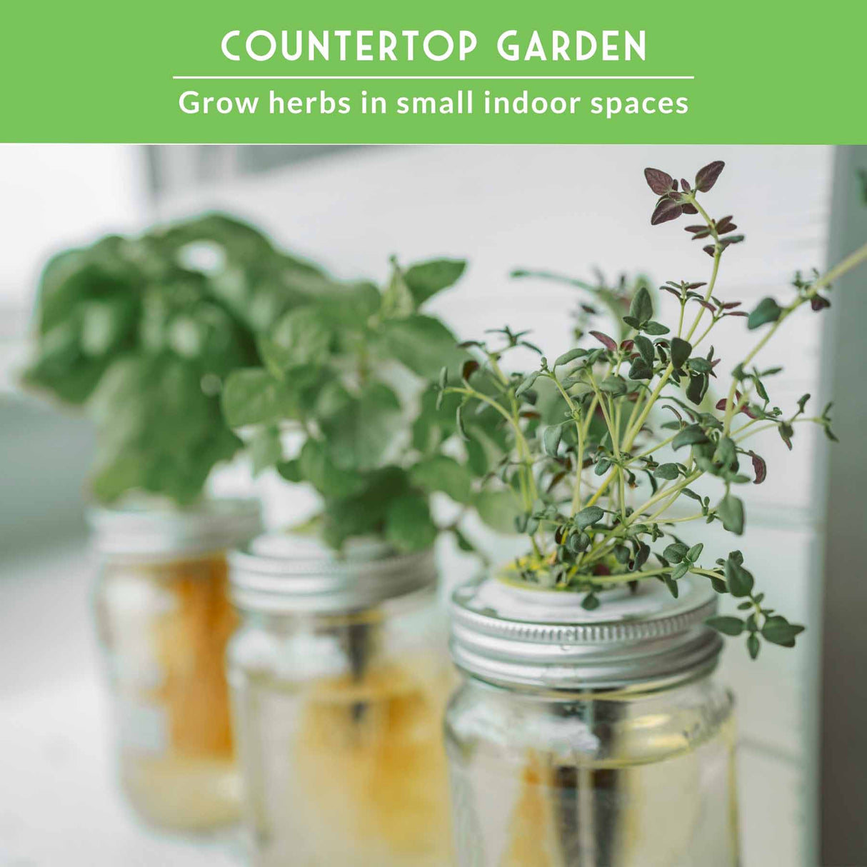 Herbs in jars on a countertop with text 'Countertop Garden' and 'Grow herbs in small indoor spaces'.