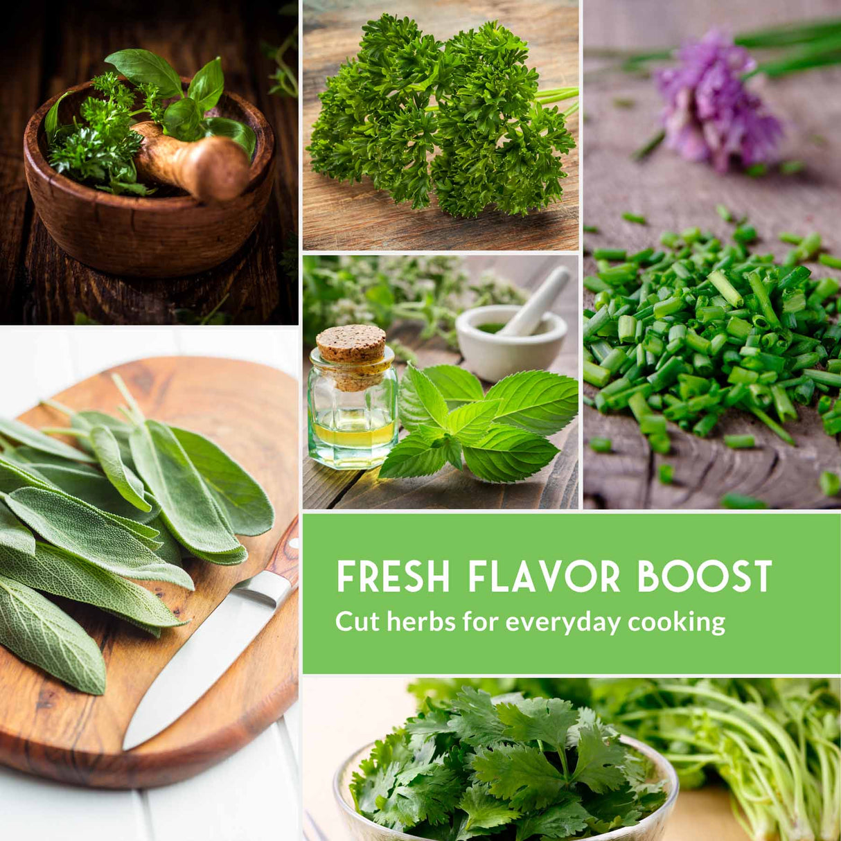 Collage of fresh herbs with a focus on their use in cooking.