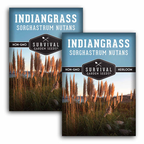 2 packets of Indiangrass seed