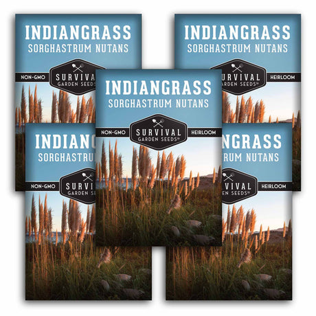 5 packets of Indiangrass seed