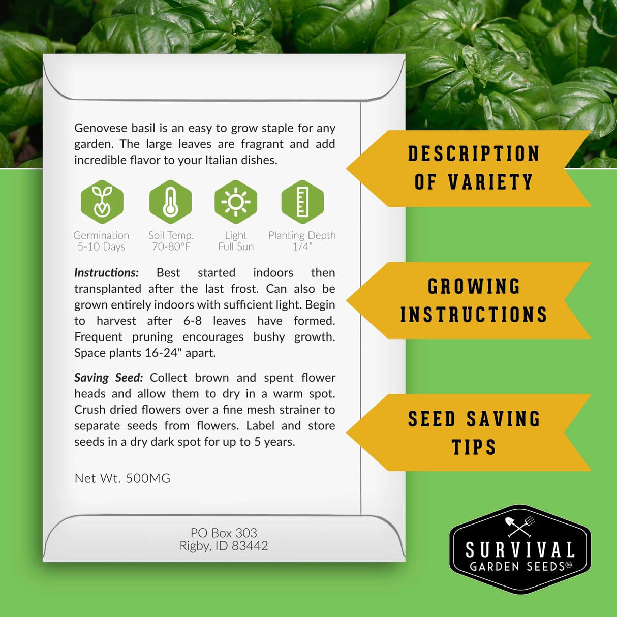 Informational packet back with growing instructions