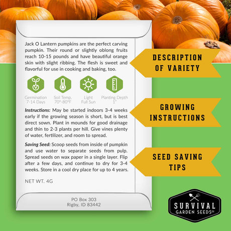 Pumpkin seed packet with growing instructions and survival garden seeds logo on a green background