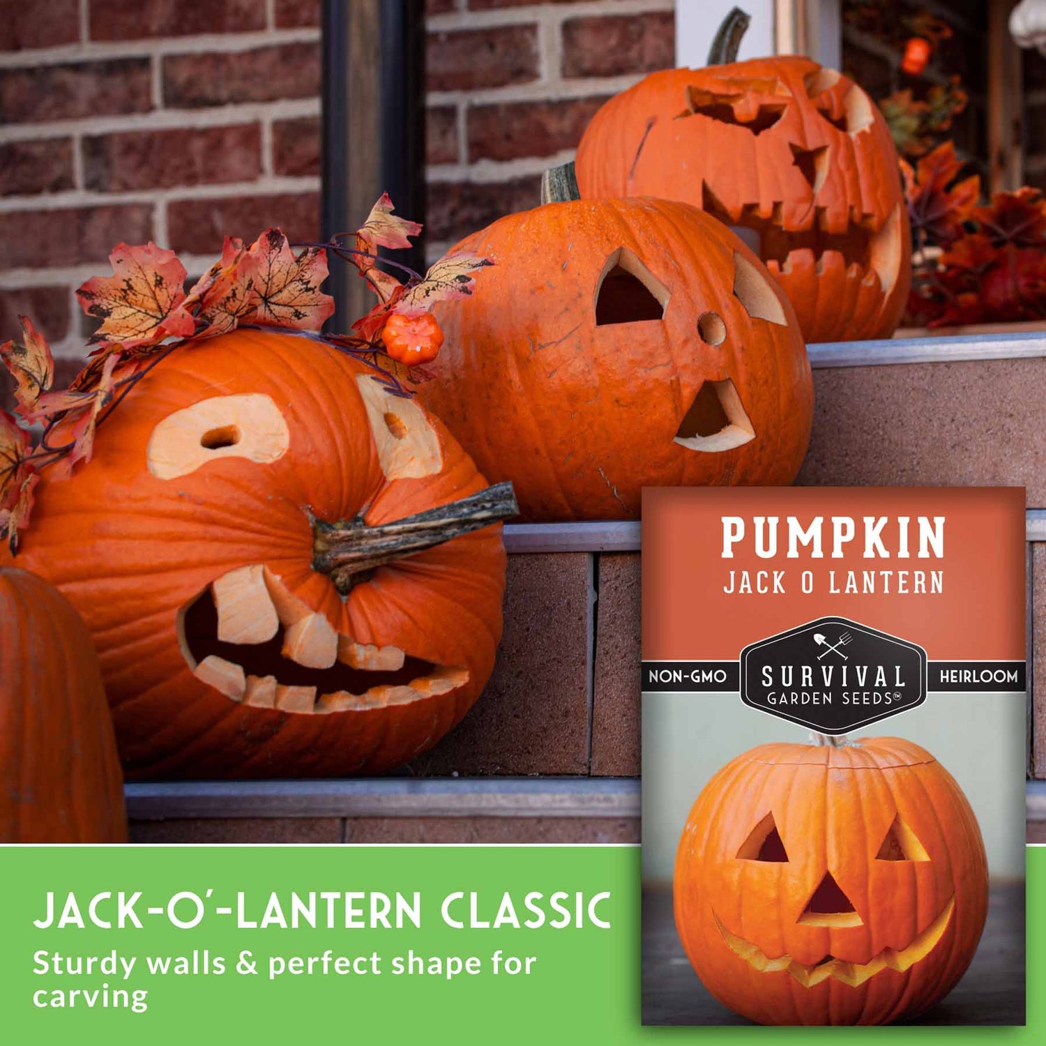 Carved pumpkins with a box labeled 'Pumpkin Jack O' Lantern' from Survival Garden Seeds against a brick wall.