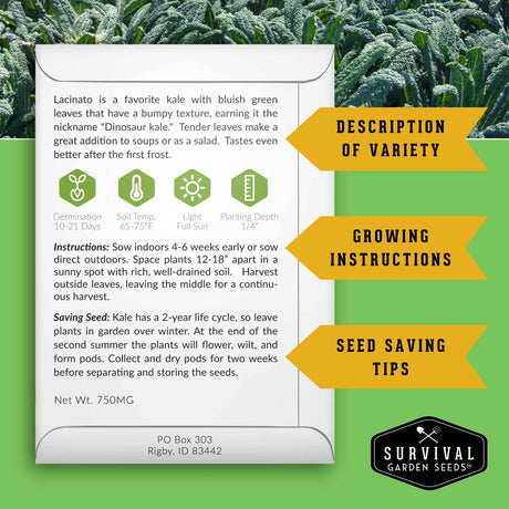 Seed packet for Lacinato kale with growing instructions and seed saving tips on a green background.