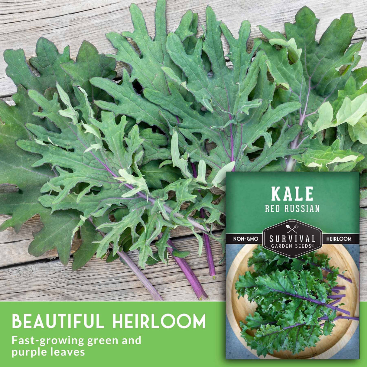 Kale leaves with a seed packet labeled 'Red Russian Kale' on a wooden surface.