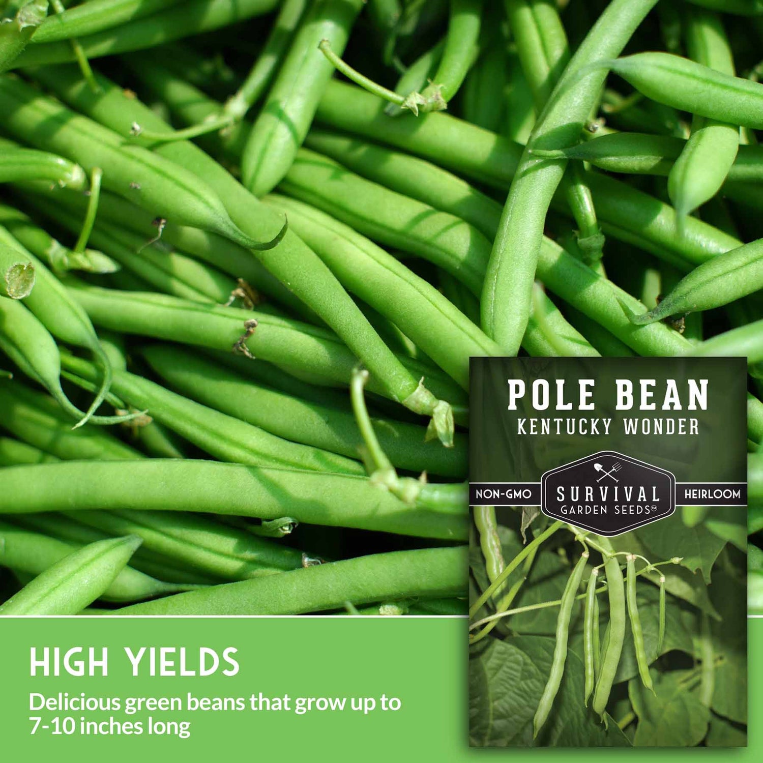 Pile of green beans with Survival Garden Seeds packaging in the corner High yields