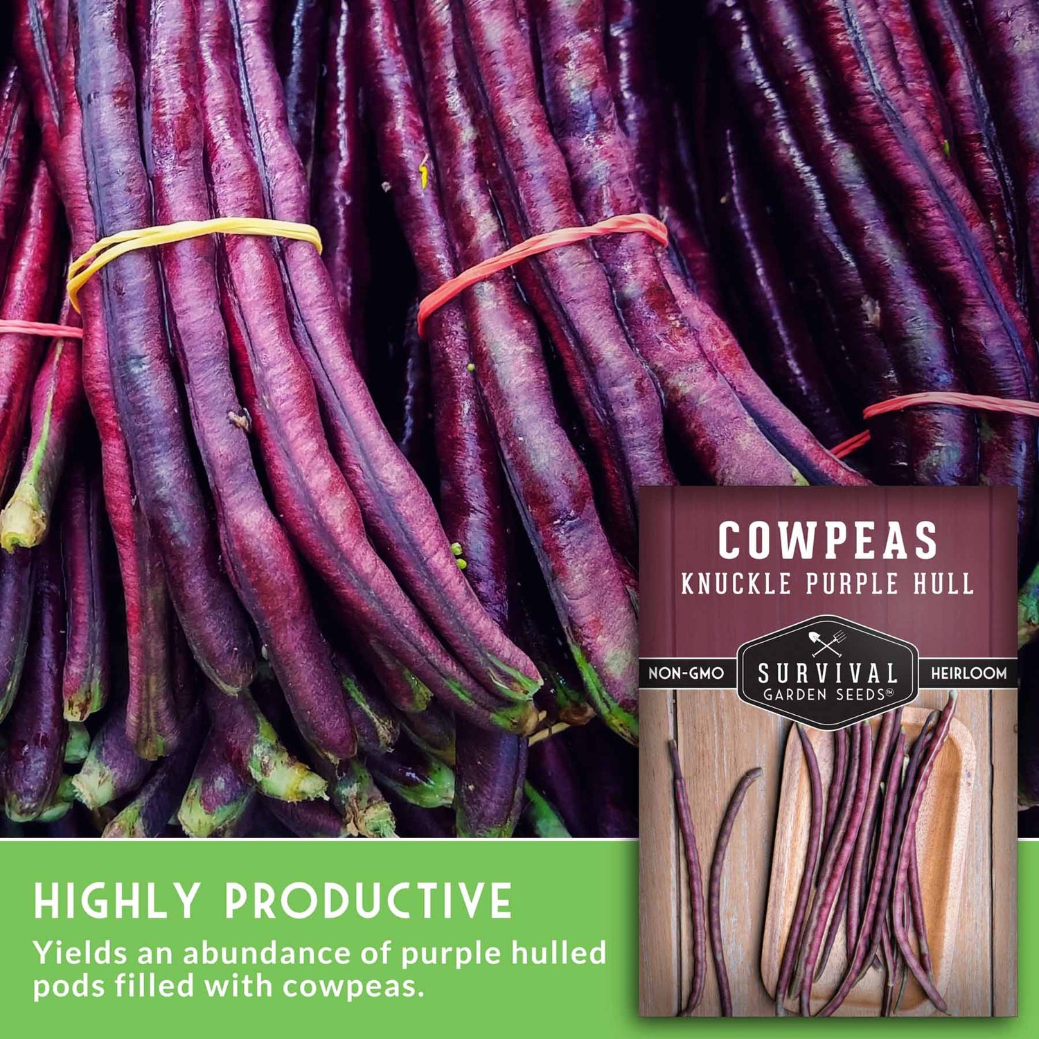 Bundles of purple cowpeas with a package labeled 'Cowpeas Knuckle Purple Hull' from Survival Garden Seeds.
