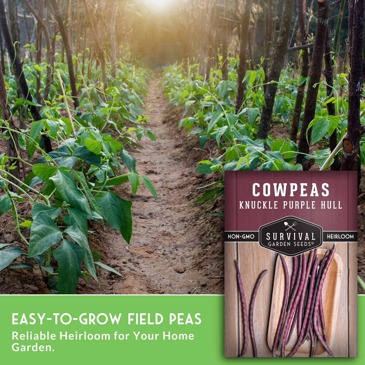 Cowpeas seed packet with garden scene in the background