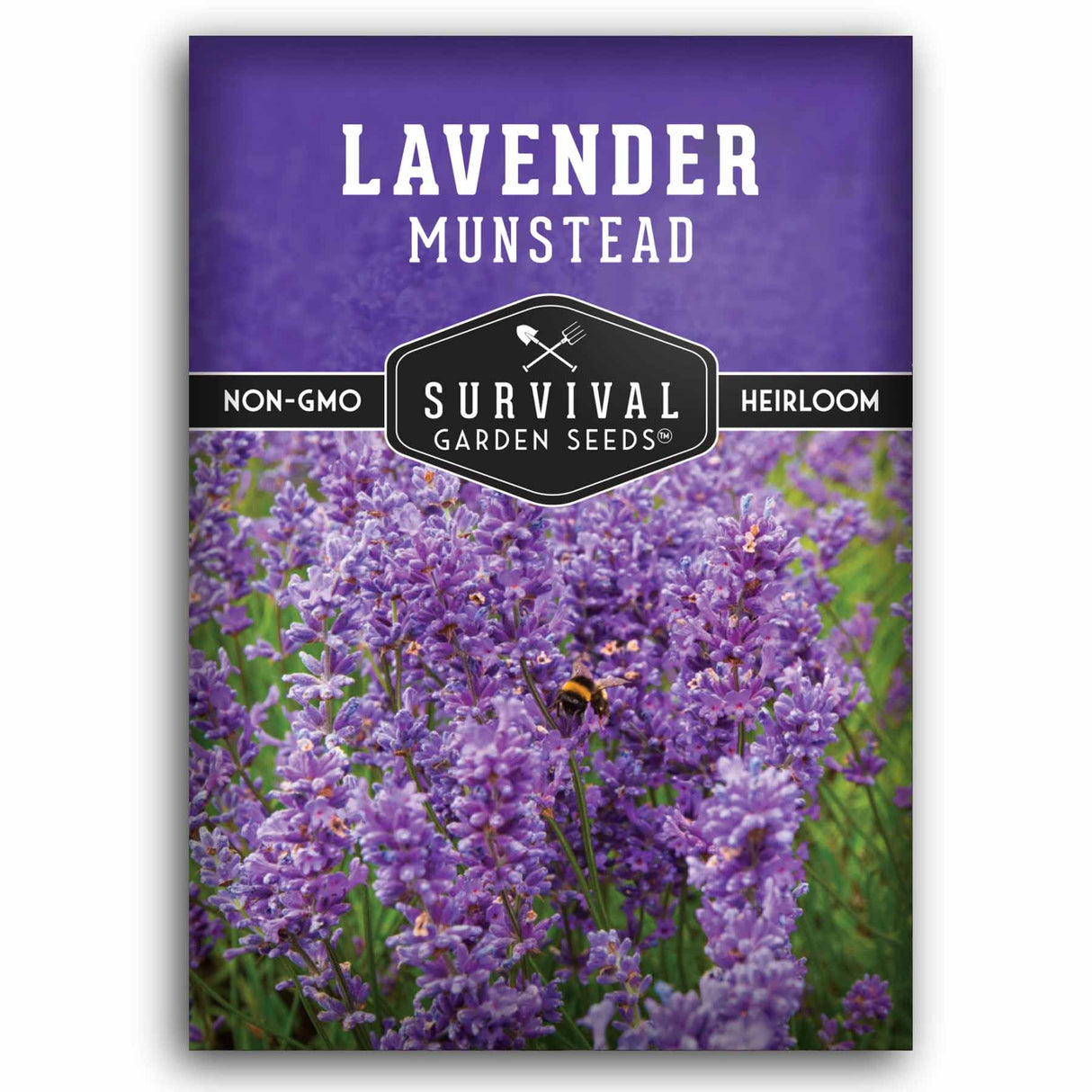 Lavender Munstead seed packet with 'Survival Garden Seeds' branding on a white background