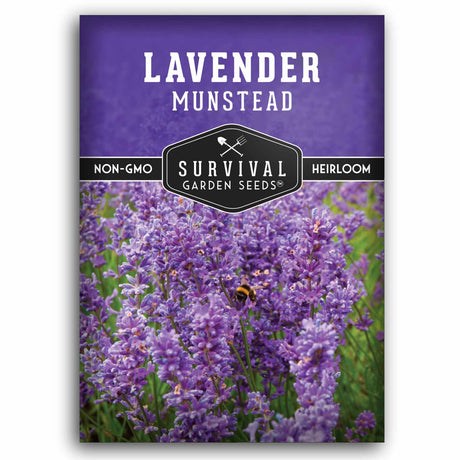 Lavender Munstead seed packet with 'Survival Garden Seeds' branding on a white background