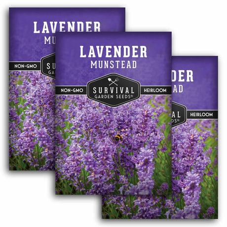 Three packages of Survival Garden Seeds Lavender Munstead on a white background