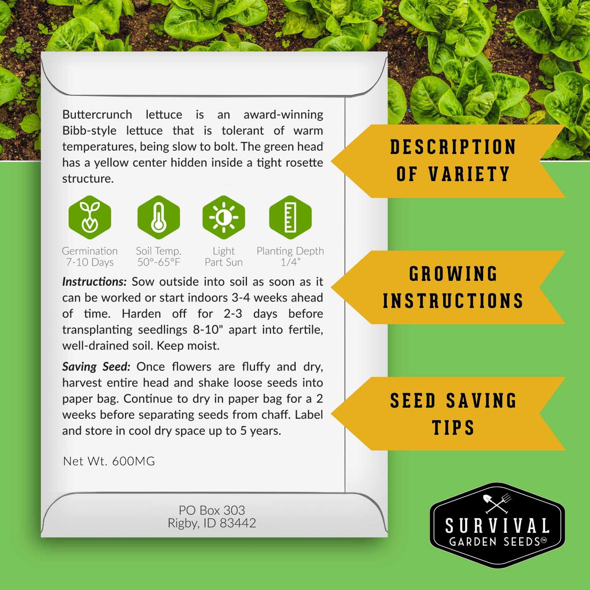 Seed packet for Buttercrunch lettuce with growing instructions and seed saving tips on a green background.