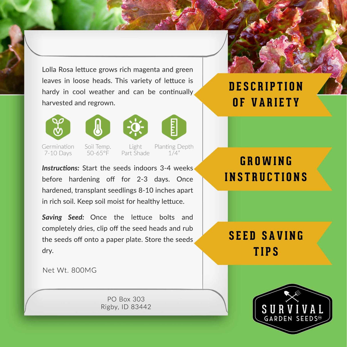 Survival Garden Seeds lettuce seed packet with text and graphics on a green background