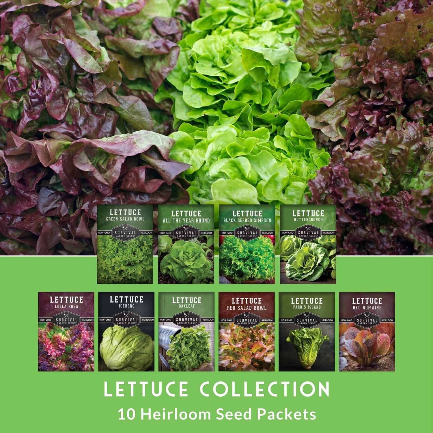 Collection of lettuce seed packets with a variety of lettuce types on a green background.