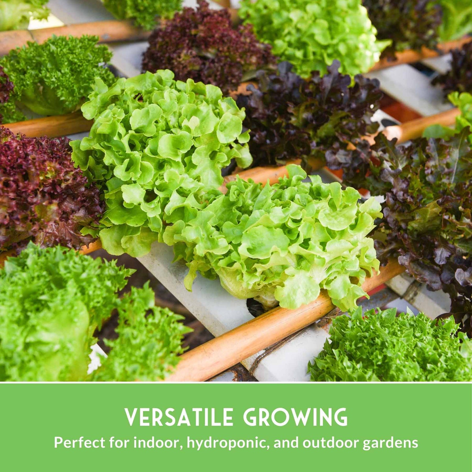 Close-up of green and purple leafy vegetables with text 'Versatile Growing' and 'Perfect for indoor, hydroponic, and outdoor gardens'.