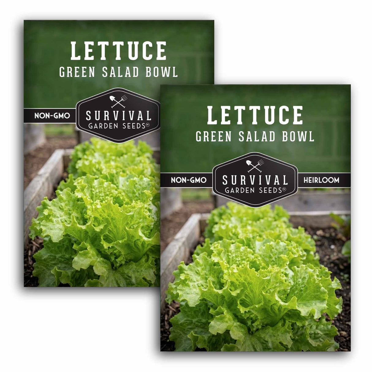Green Salad Bowl Lettuce Seeds – AAS Award-Winning Heat-Tolerant Leaf Lettuce with Sweet, Frilly Green Leaves