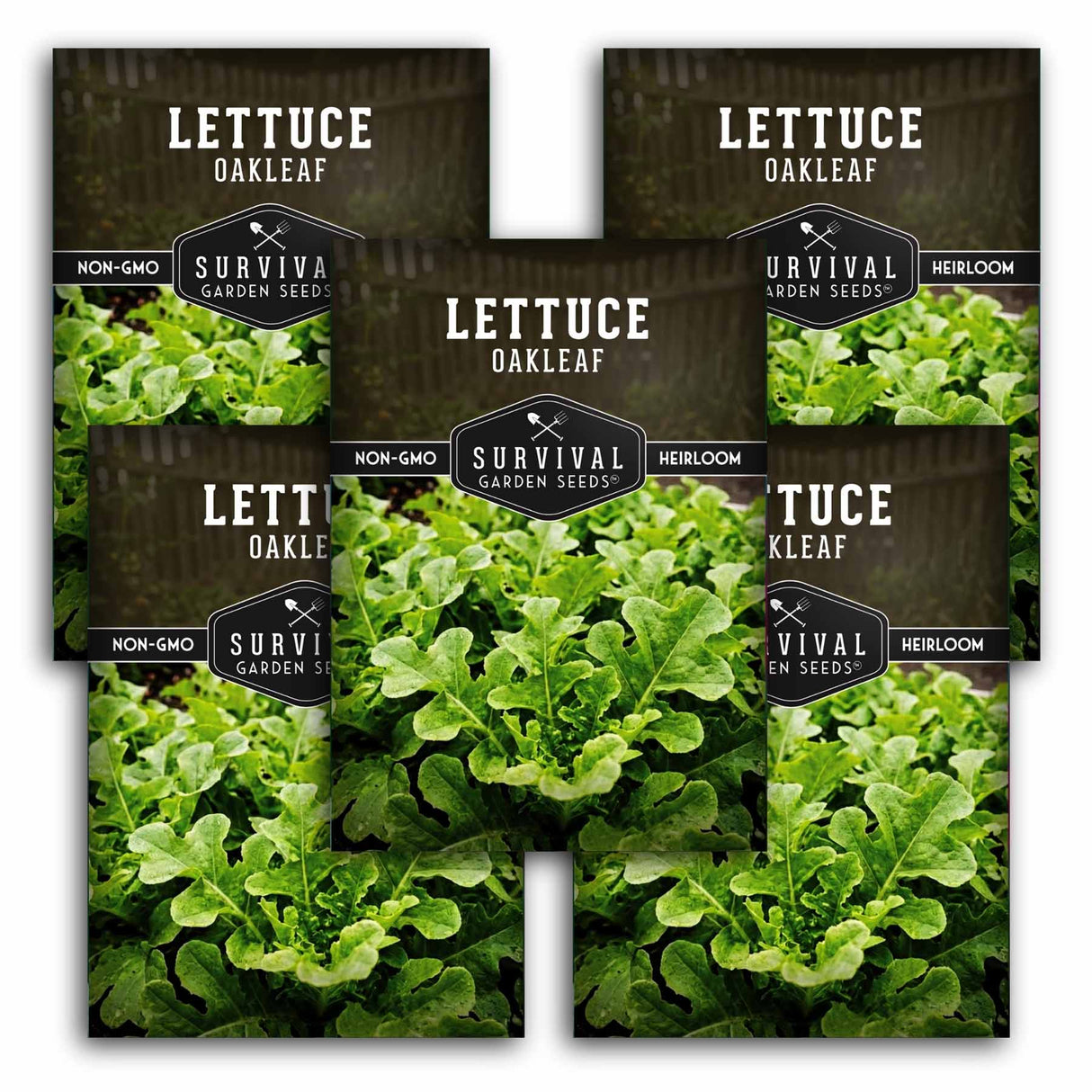 Survival Garden Seeds Lettuce Oakleaf packaging with green lettuce images.