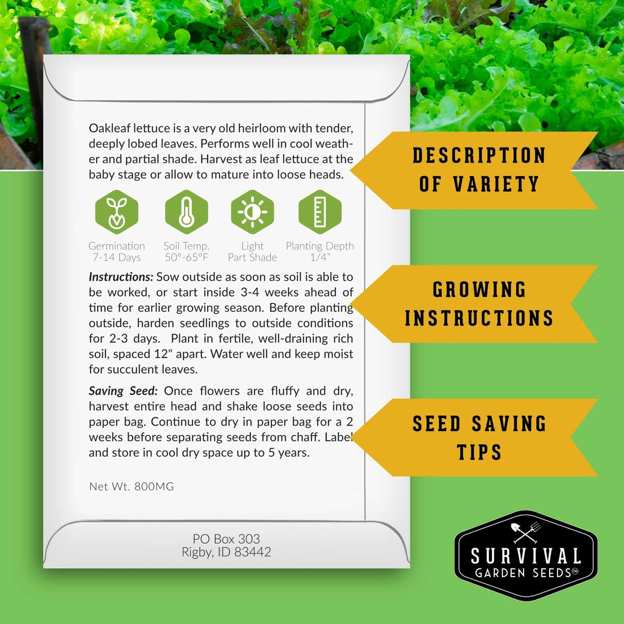 Seed packet for Oakleaf lettuce with growing instructions and seed saving tips on a green background.