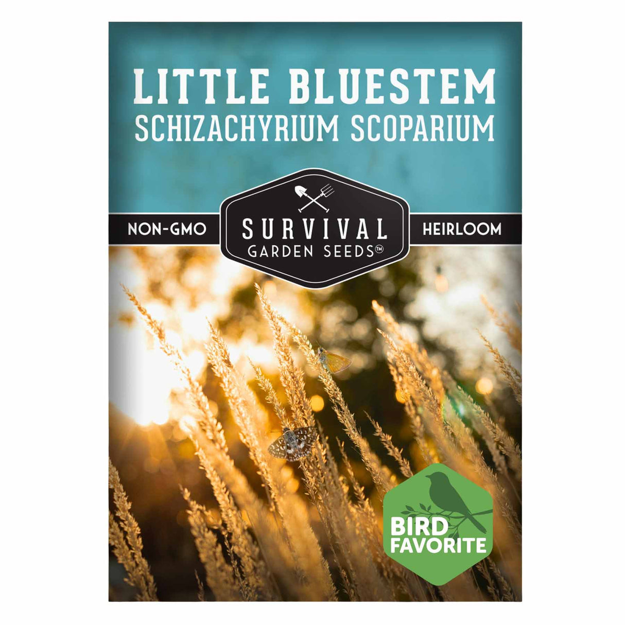 1 packet of Little Bluestem seeds