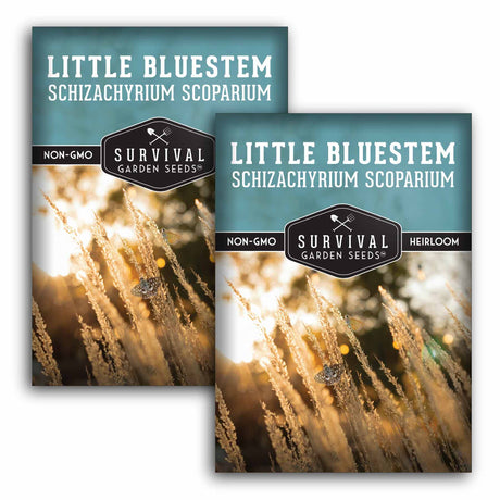 2 packets of Little Bluestem seeds