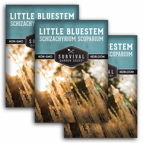 3 packets of Little Bluestem seeds