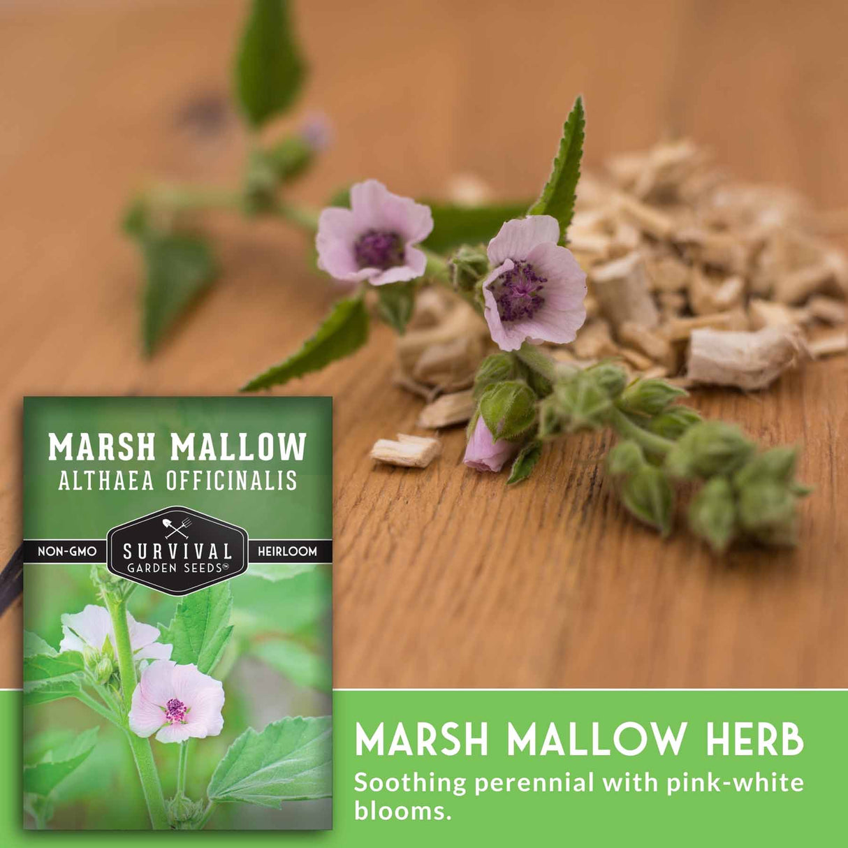 Marshmallow herb packaging with live plant on a wooden surface