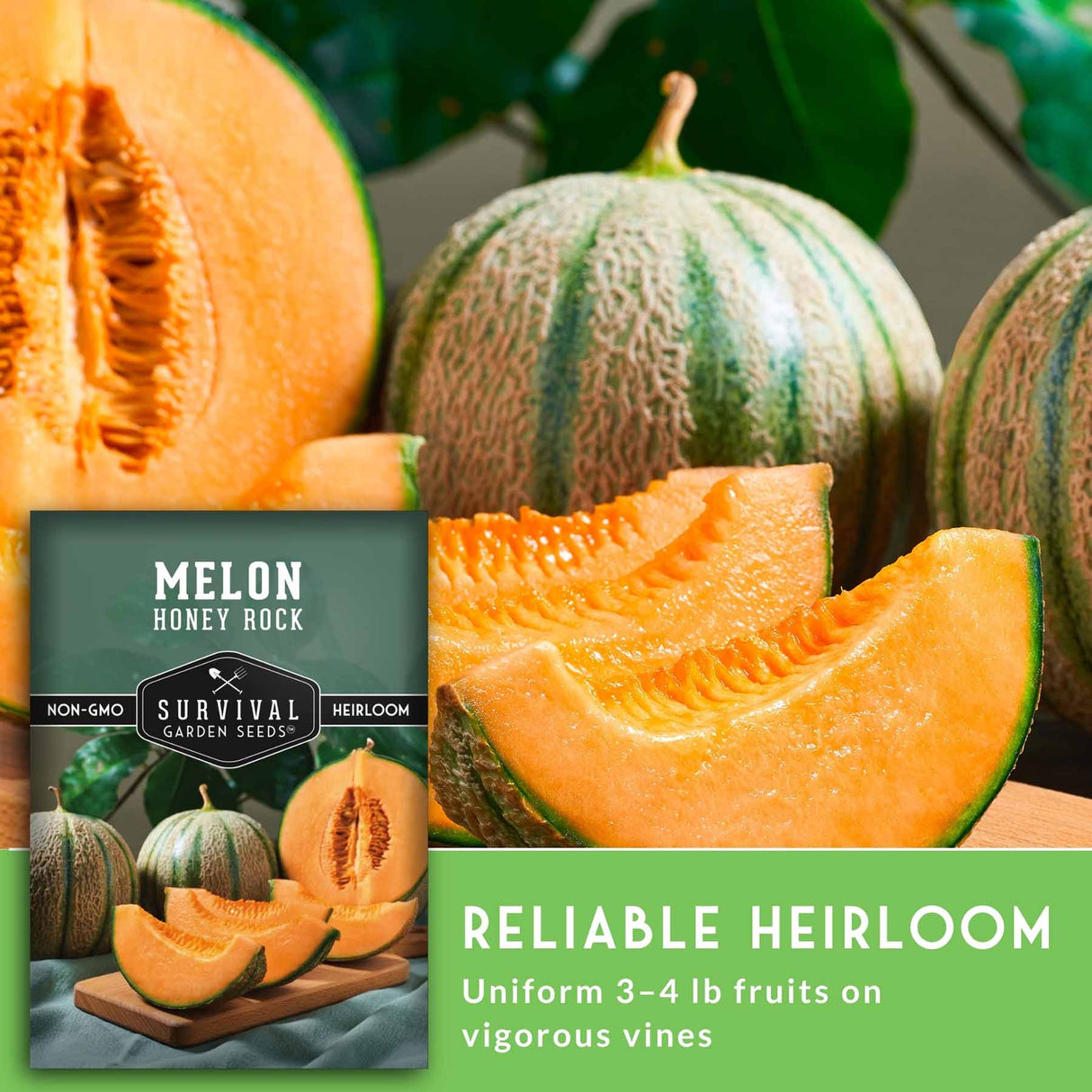 Melon seeds package shown over a close-up photo of honey melon fruits, with sliced orange melon wedges and whole striped melons in the background. Text on the package reads 'MELON Honey Rock' and 'Survival Garden Seeds'; a green banner says 'Reliable Heirloom'.