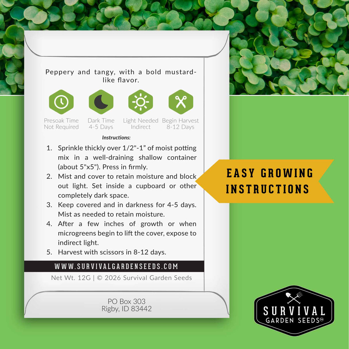 Seed packet with growing instructions on a green background