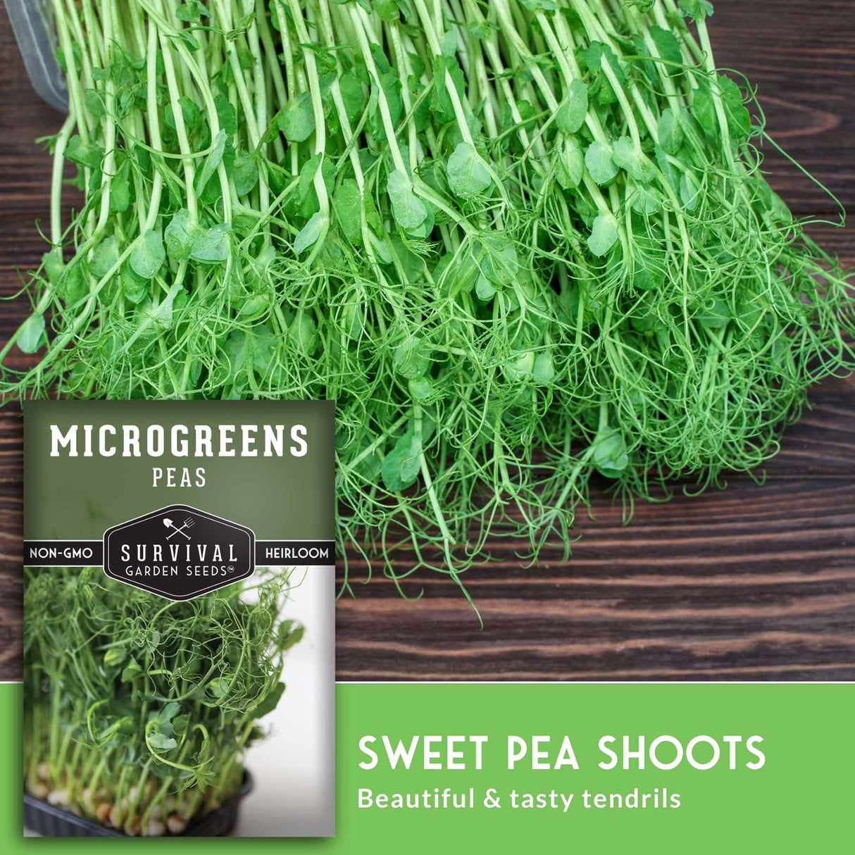Pea Microgreen Seeds – Non-GMO Pea Seeds for Fast Indoor Growing, Sprouting & Sweet, Tender Greens