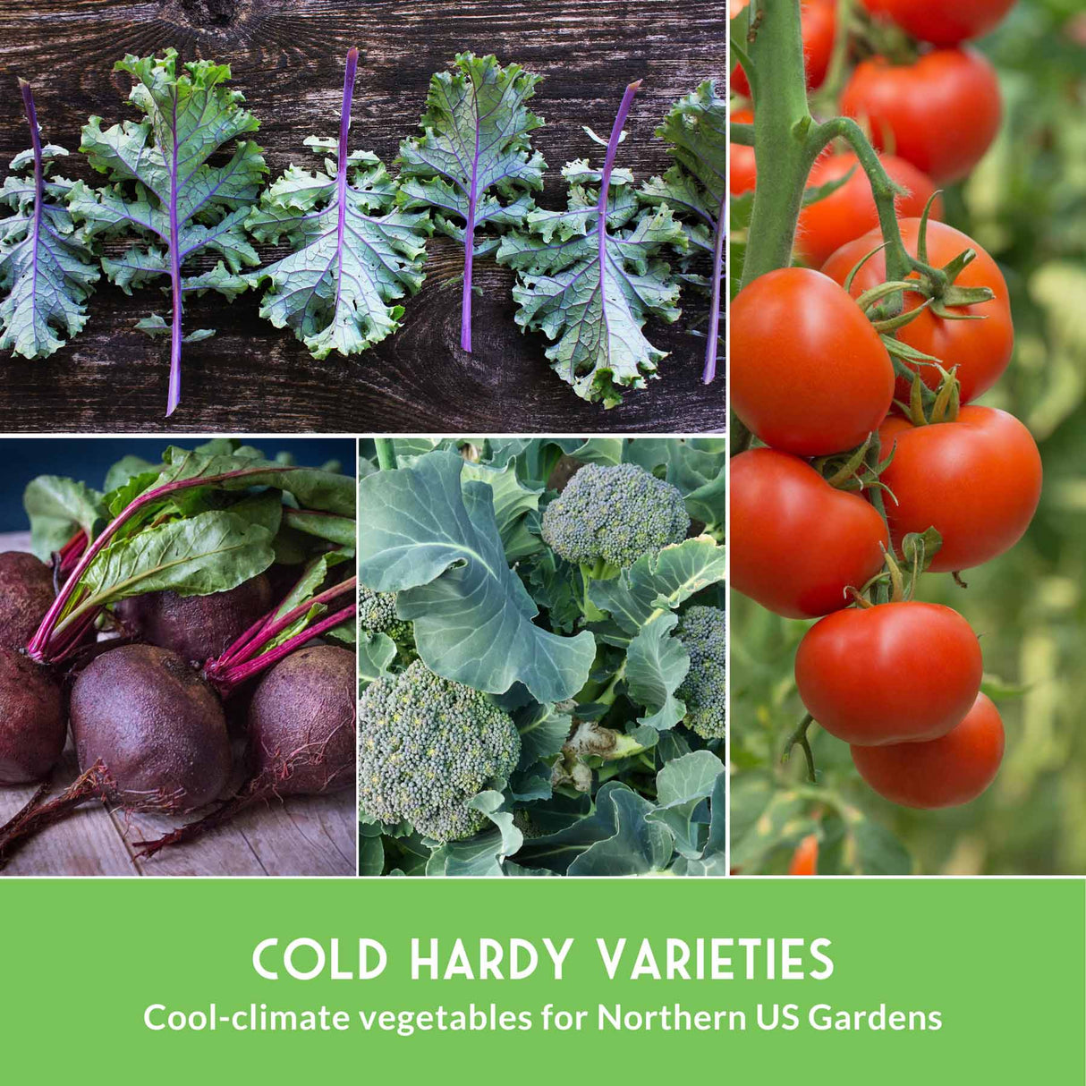 Collage of cold-hardy vegetables including kale, tomatoes, beets, and broccoli with a green banner at the bottom.
